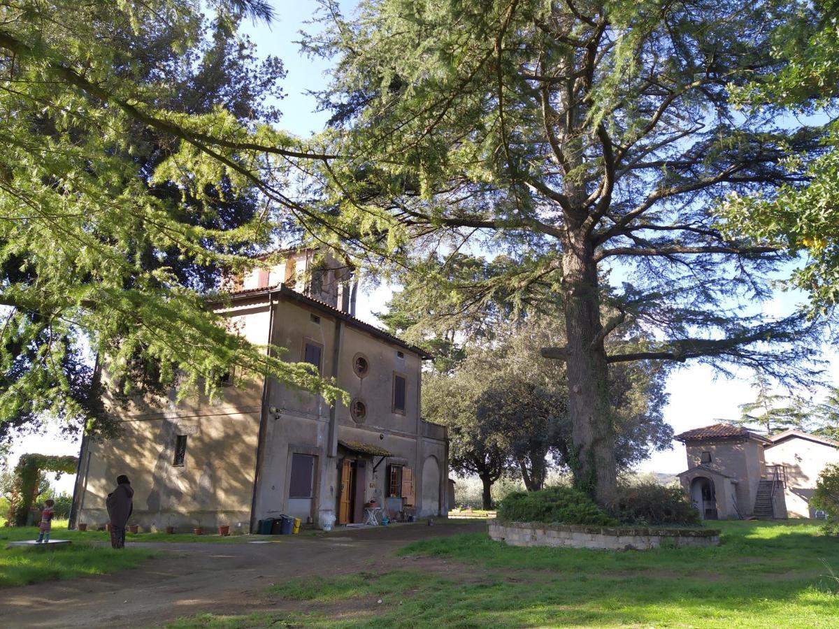 Agriturismo La Villetta San Lorenzo Nuovo Exteriör bild