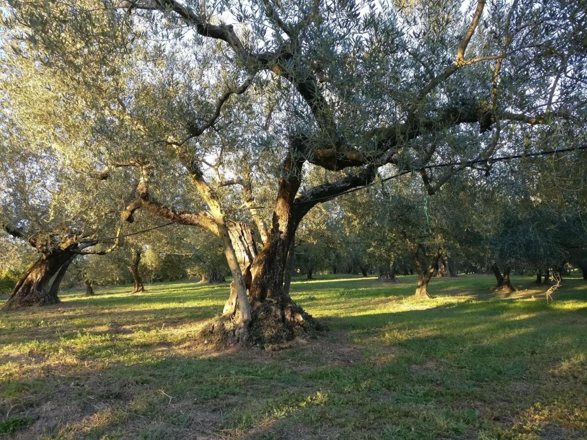 Agriturismo La Villetta San Lorenzo Nuovo Exteriör bild