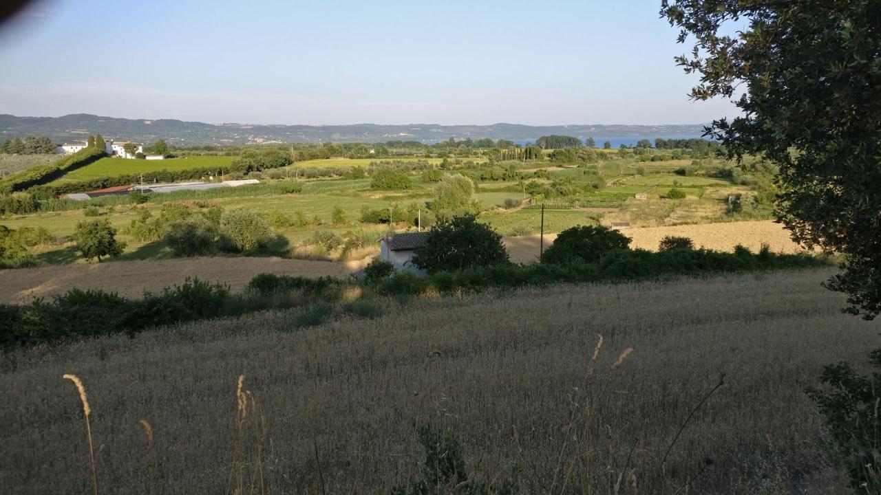 Agriturismo La Villetta San Lorenzo Nuovo Exteriör bild