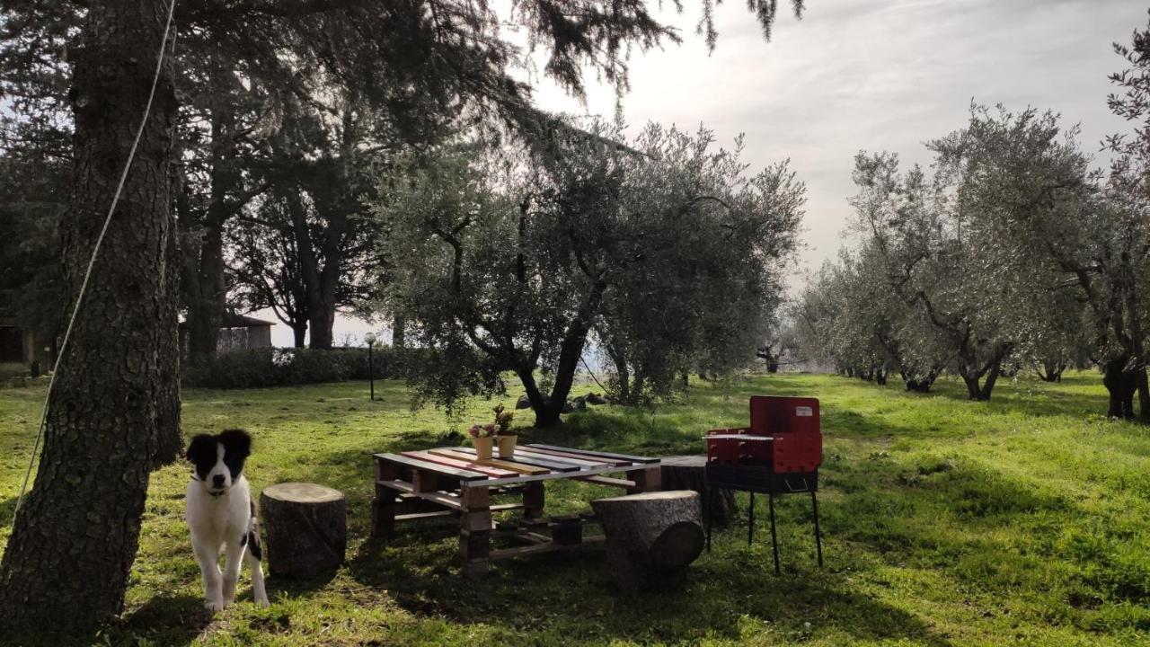 Agriturismo La Villetta San Lorenzo Nuovo Exteriör bild