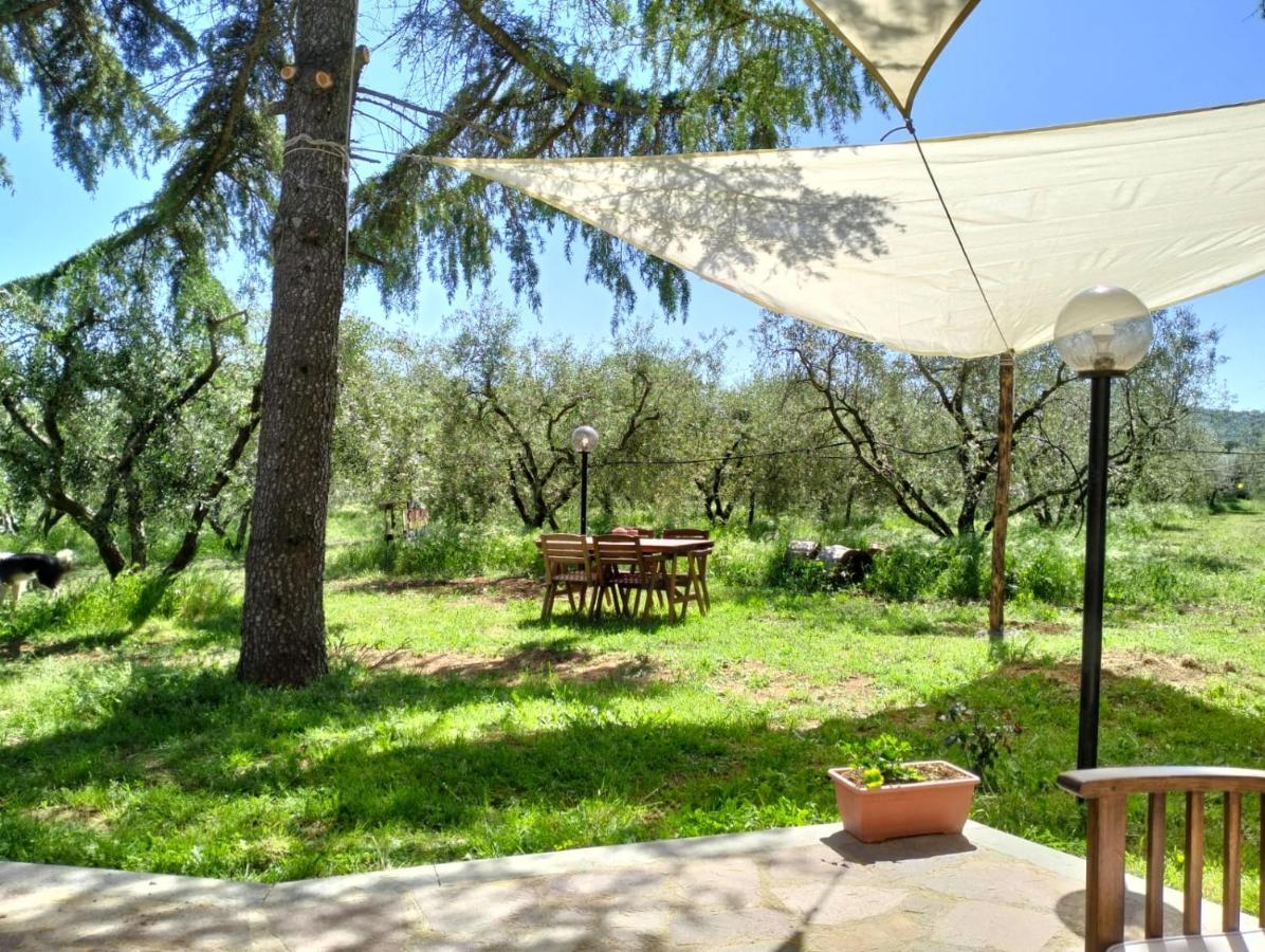 Agriturismo La Villetta San Lorenzo Nuovo Exteriör bild