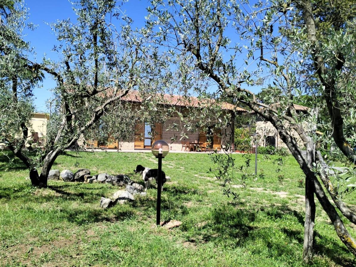 Agriturismo La Villetta San Lorenzo Nuovo Exteriör bild