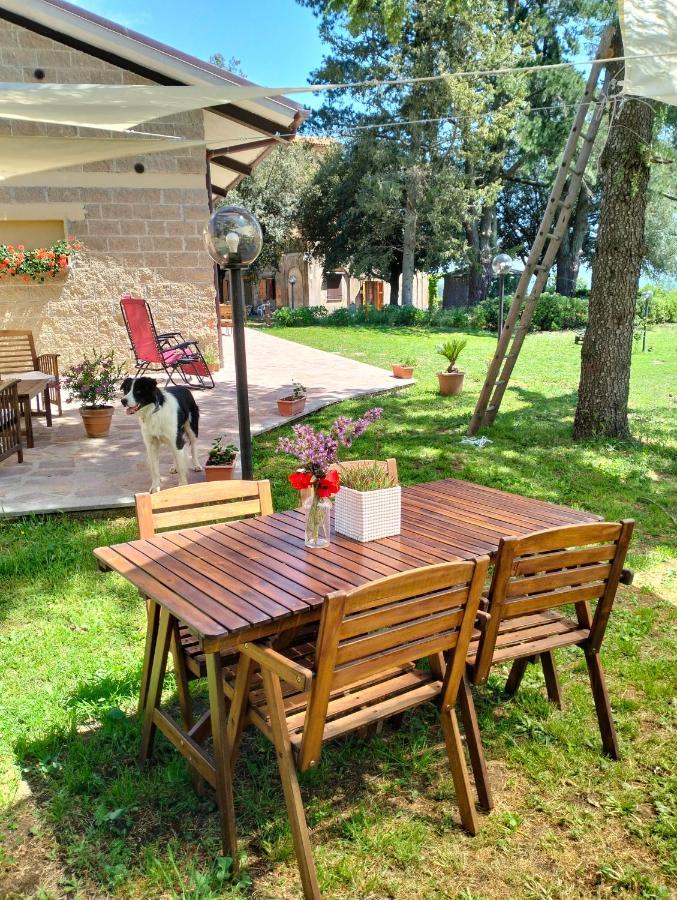 Agriturismo La Villetta San Lorenzo Nuovo Exteriör bild
